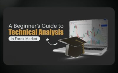 A Beginner's Guide to Technical Analysis in the Forex Market